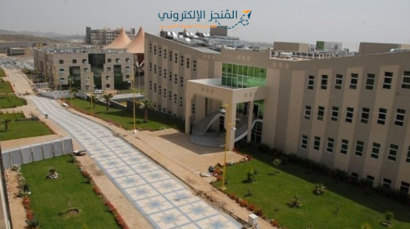 «سدايا» تطلق فعالية «ديوانية الذكاء الاصطناعي» لتعزيز الابتكار «سدايا» تطلق فعالية «ديوانية الذكاء الاصطناعي» لتعزيز الابتكار